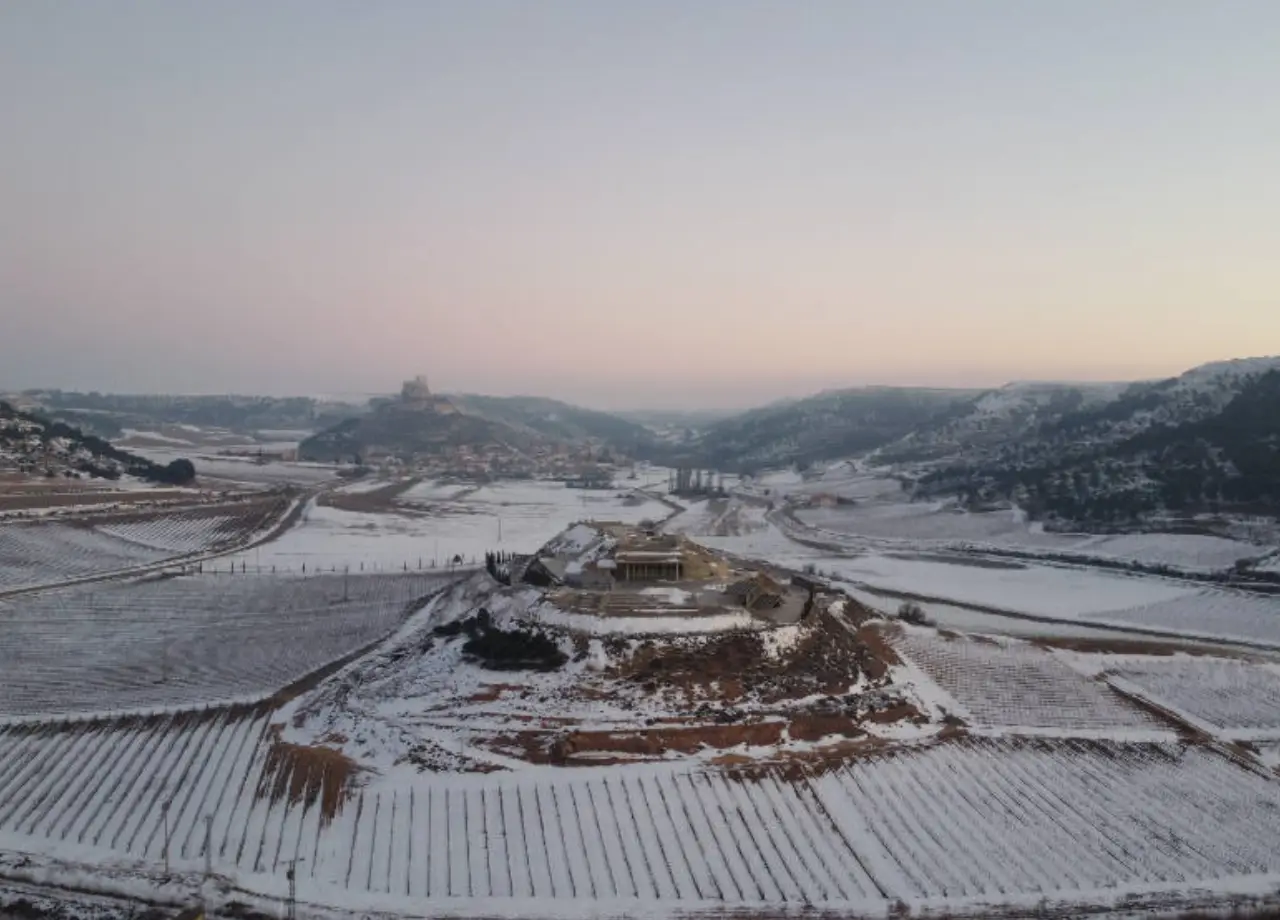 Vivaltus terroir